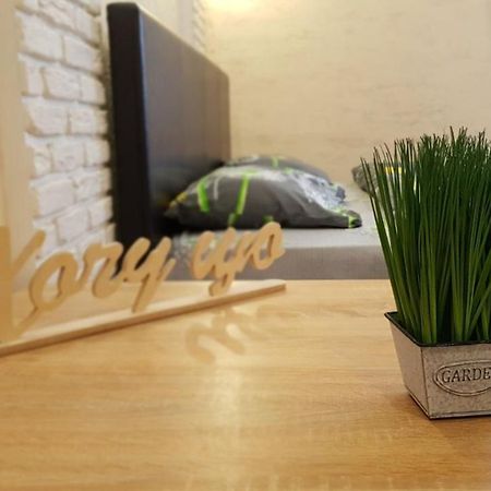 New Luxury Studio Apartment Ivano-Frankivsk Exterior photo